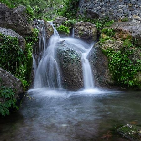 تشاكراتا Babutaal Resort المظهر الخارجي الصورة