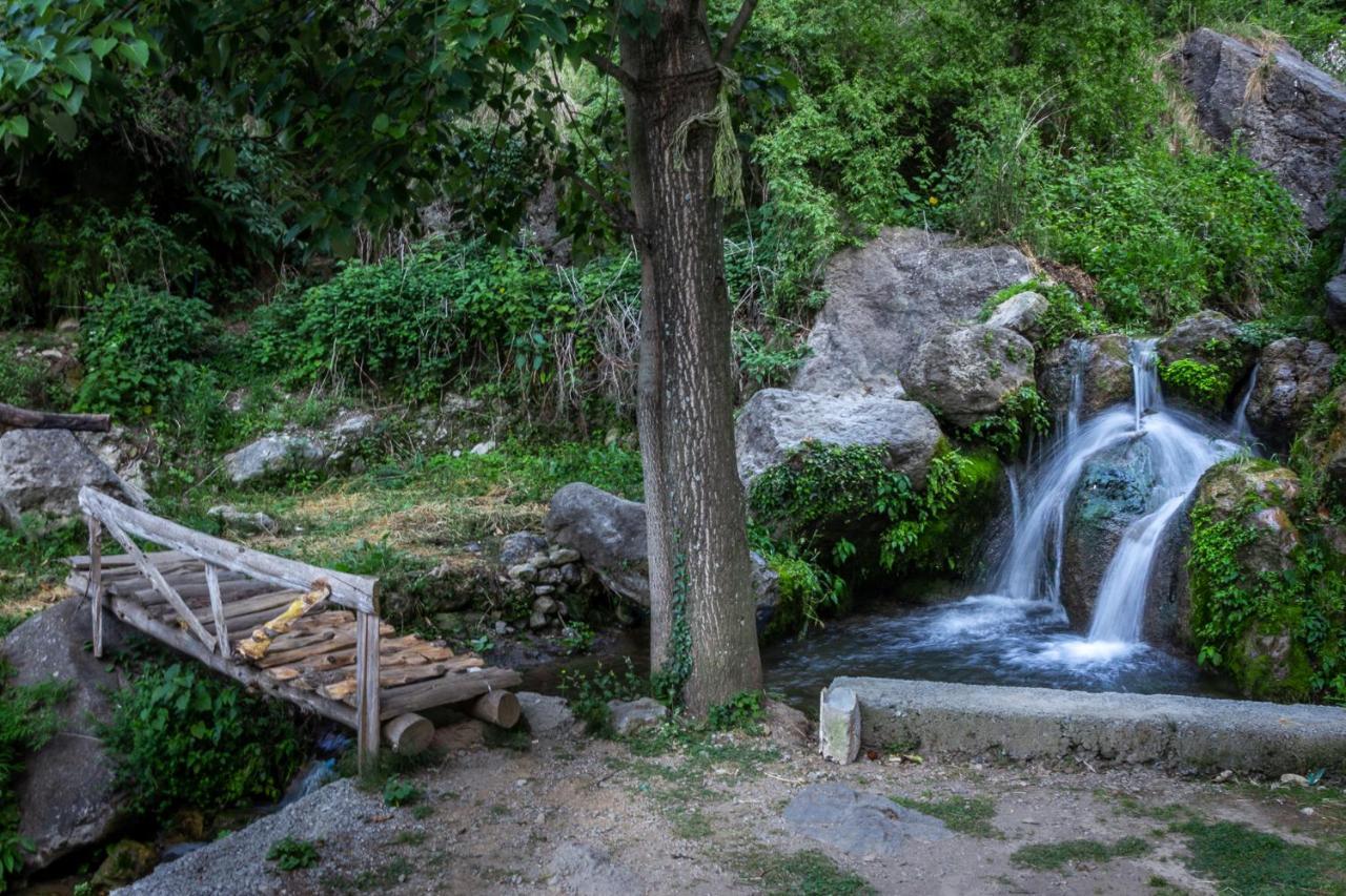 تشاكراتا Babutaal Resort المظهر الخارجي الصورة