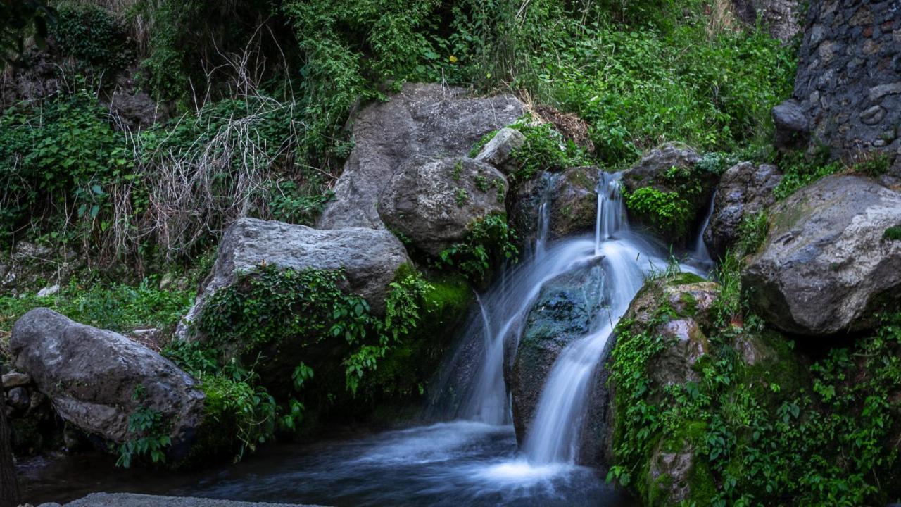 تشاكراتا Babutaal Resort المظهر الخارجي الصورة